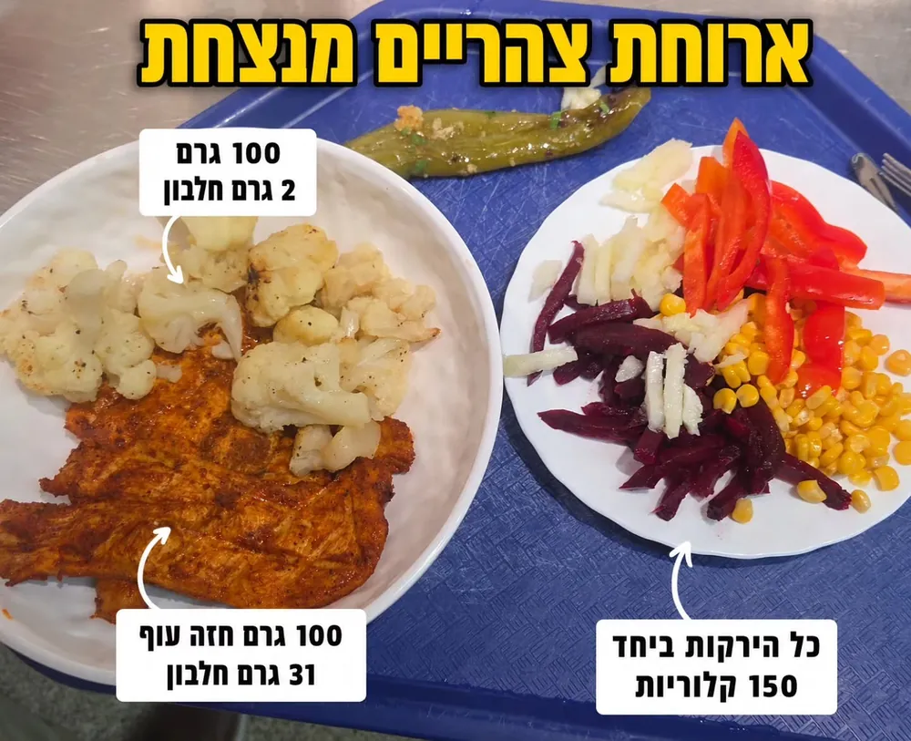 שתי צלחות ארוחת צהריים: 100 גרם חזה עוף עם כרובית, ו-100 גרם חזה עוף עם ירקות
